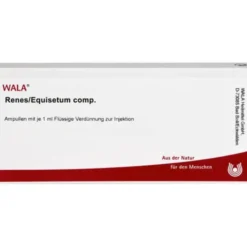 RENES/EQUISETUM comp.Ampullen 10X1 ml