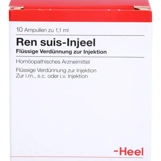 REN suis Injeel Ampullen 10 St