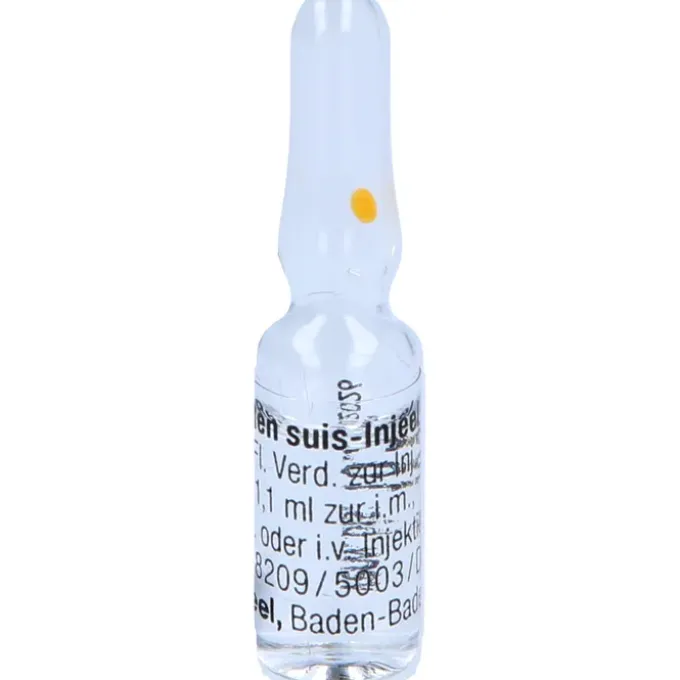 REN suis Injeel Ampullen 10 St