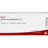 RETINA ET Chorioidea GL D 15 Ampullen 10X1 ml