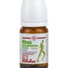 RHUS TOXICODENDRON D 6 Tabl.bei rheumat.Schmerzen 80 St