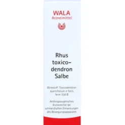 RHUS TOXICODENDRON SALBE 30 g