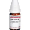 RIBES NIGRUM D 6 Globuli 10 g