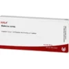 ROBINIA COMP.Ampullen 10X1 ml