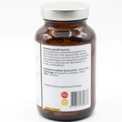 SÄGEPALMEN Extrakt 450 mg Kapseln 90 Stück