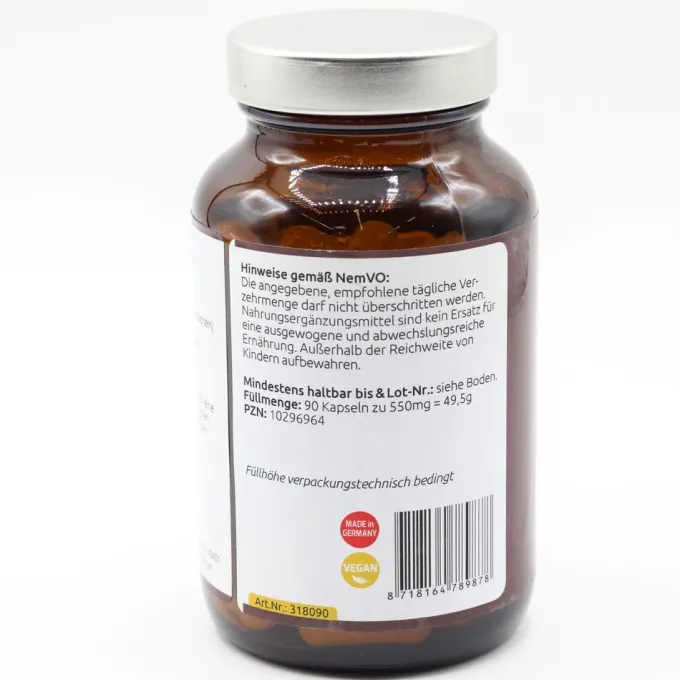 SÄGEPALMEN Extrakt 450 mg Kapseln 90 Stück