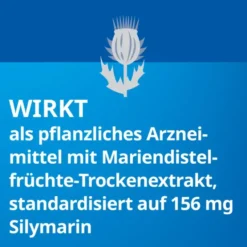 SILYMARIN STADA 156 mg Hartkapseln 30 St