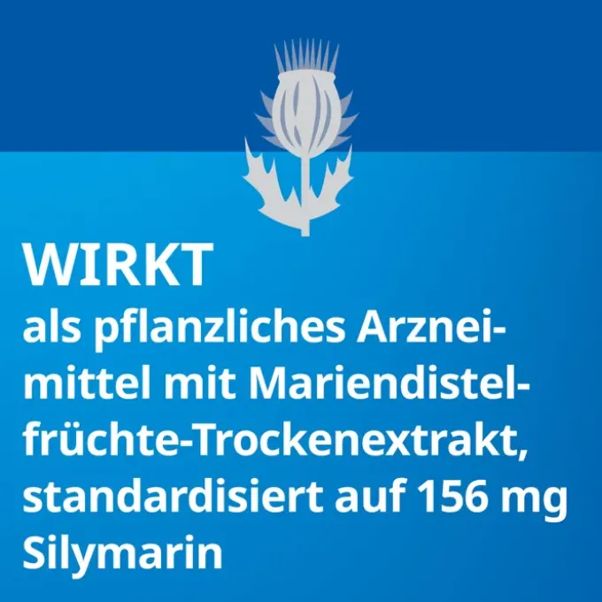 SILYMARIN STADA 156 mg Hartkapseln 30 St