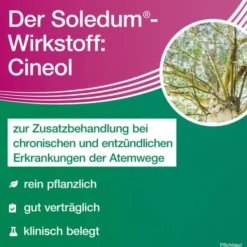 SOLEDUM addicur 200 mg magensaftres.Weichkapseln 100 St