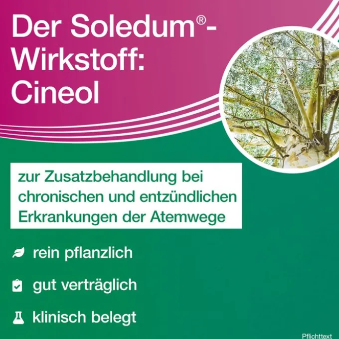 SOLEDUM addicur 200 mg magensaftres.Weichkapseln 100 St