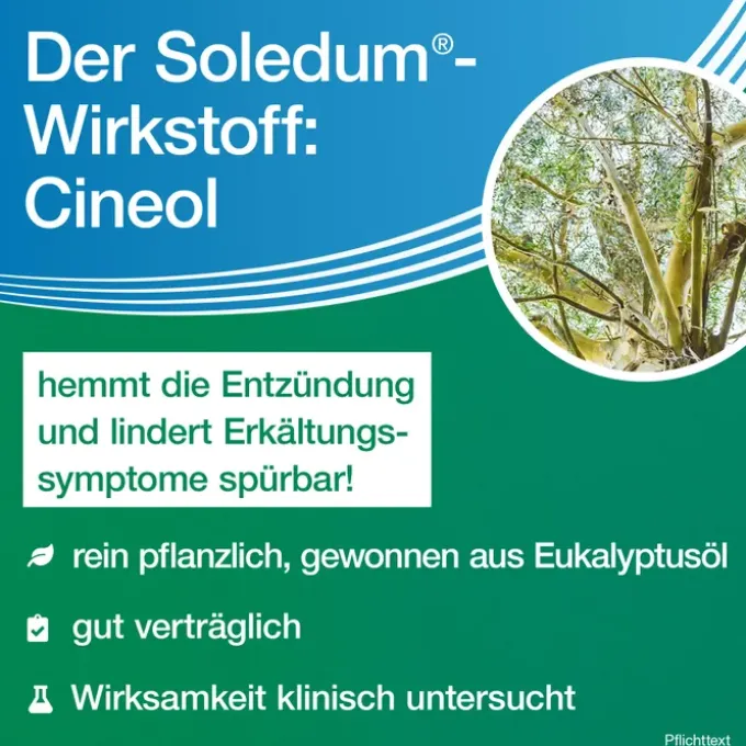 SOLEDUM Kapseln forte 200 mg 50 St