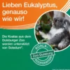 SOLEDUM Kapseln junior 100 mg 20 St