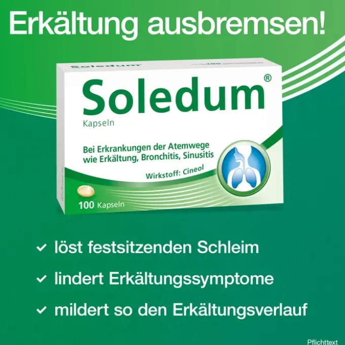 SOLEDUM 100 mg magensaftresistente Kapseln 100 St