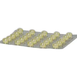 SOLEDUM 100 mg magensaftresistente Kapseln 100 St