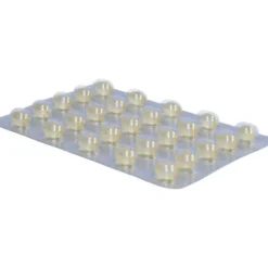 SOLEDUM 100 mg magensaftresistente Kapseln 100 St