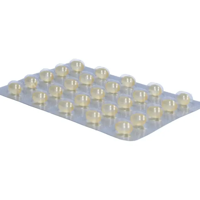 SOLEDUM 100 mg magensaftresistente Kapseln 100 St