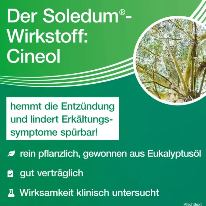 SOLEDUM 100 mg magensaftresistente Kapseln 50 St