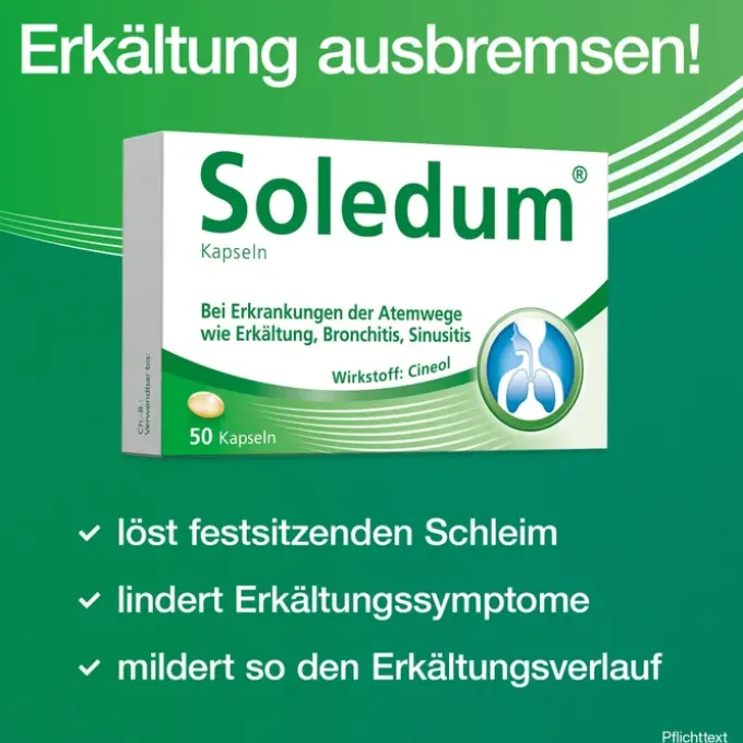 SOLEDUM 100 mg magensaftresistente Kapseln 50 St