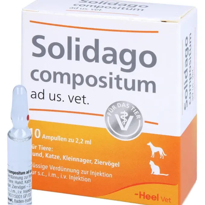 SOLIDAGO COMPOSITUM ad us.vet.Ampullen 10 St