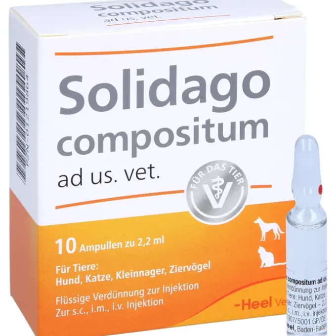 SOLIDAGO COMPOSITUM ad us.vet.Ampullen 10 St