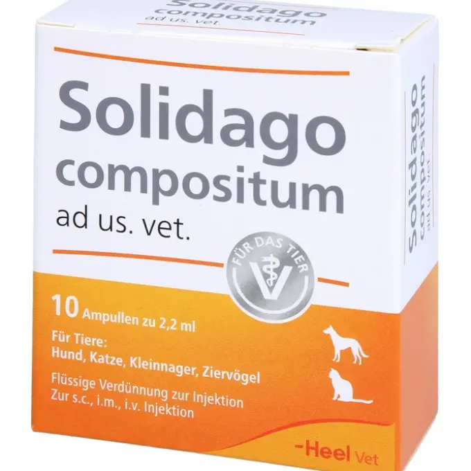 SOLIDAGO COMPOSITUM ad us.vet.Ampullen 10 St