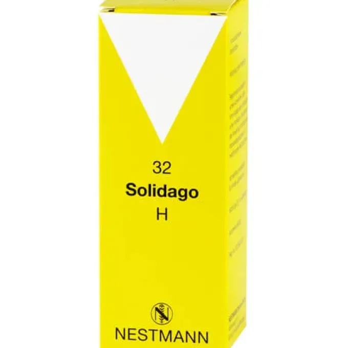 SOLIDAGO H 32 Tropfen 100 ml