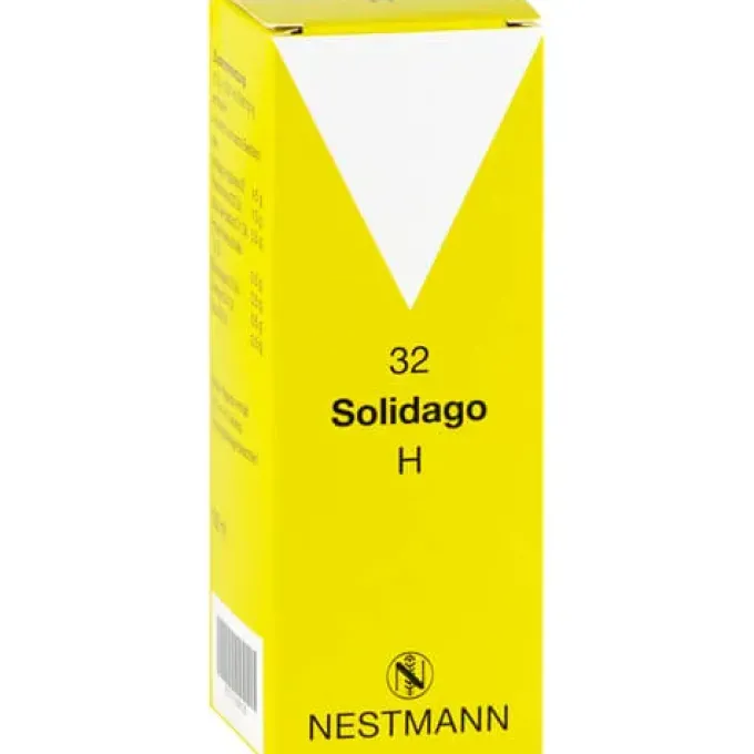 SOLIDAGO H 32 Tropfen 100 ml