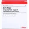 SOLIDAGO VIRGAUREA INJEEL Ampullen 10 St