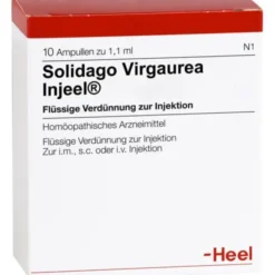 SOLIDAGO VIRGAUREA INJEEL Ampullen 10 St