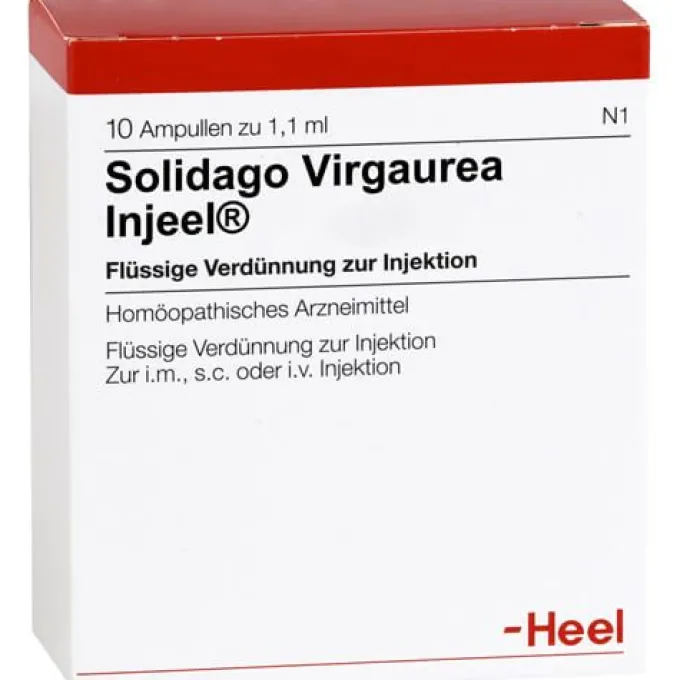 SOLIDAGO VIRGAUREA INJEEL Ampullen 10 St