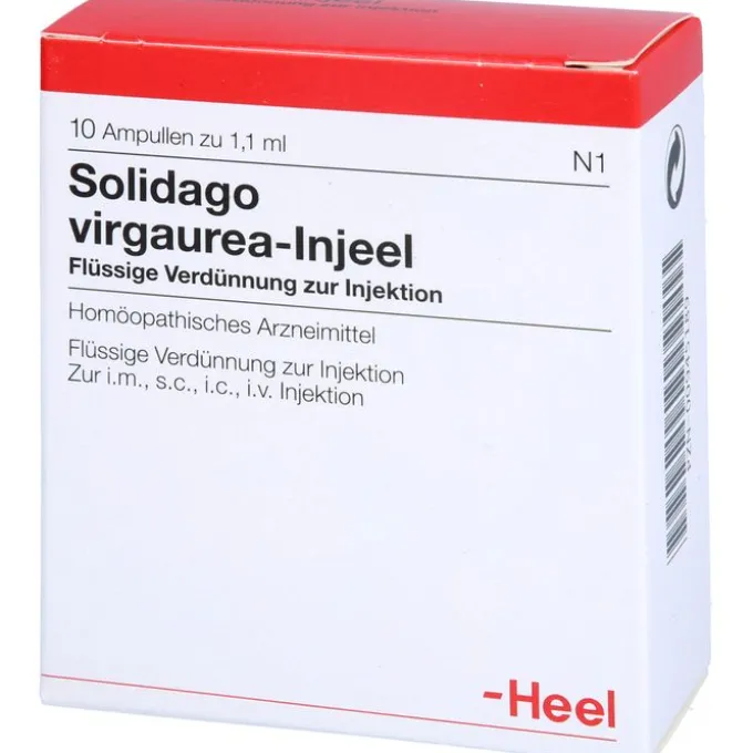 SOLIDAGO VIRGAUREA INJEEL Ampullen 10 St