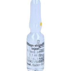 SOLIDAGO VIRGAUREA INJEEL Ampullen 10 St