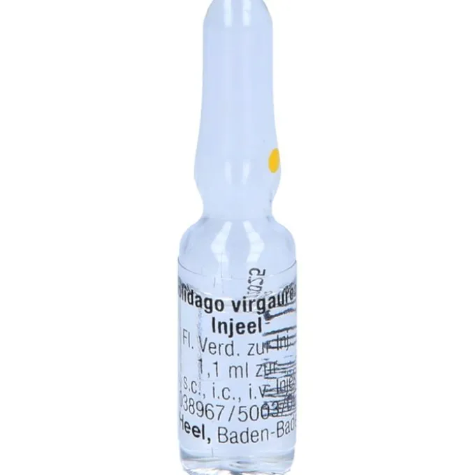 SOLIDAGO VIRGAUREA INJEEL Ampullen 10 St