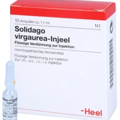 SOLIDAGO VIRGAUREA INJEEL Ampullen 10 St