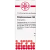 STREPTOCOCCINUM C 30 Globuli 10 g