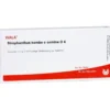 STROPHANTHUS KOMBE e semine D 4 Ampullen 10X1 ml