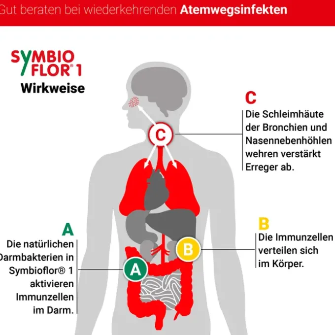 SYMBIOFLOR 1 Suspension 50 ml