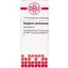 SYZYGIUM JAMBOLANUM C 30 Globuli 10 g