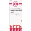SYZYGIUM JAMBOLANUM D 4 Tabletten 80 St