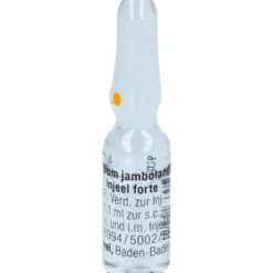 SYZYGIUM JAMBOLANUM INJEEL forte Ampullen 10 St