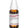 TARAXACUM Urtinktur 20 ml