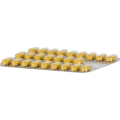 TEBONIN intens 120 mg Filmtabletten 200 St