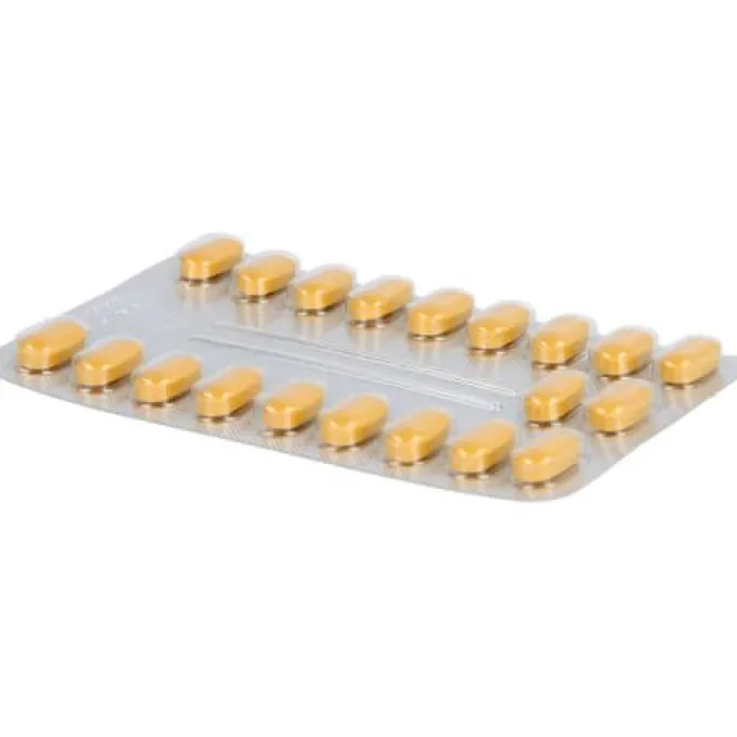 TEBONIN intens 120 mg Filmtabletten 120 St