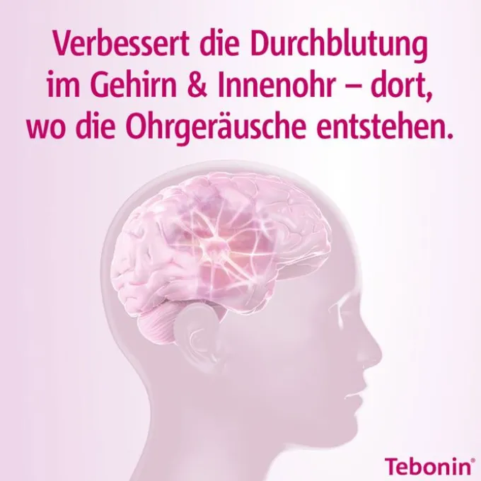 TEBONIN intens 120 mg Filmtabletten 120 St