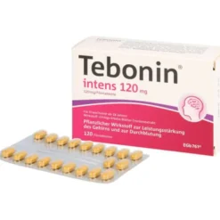 TEBONIN intens 120 mg Filmtabletten 120 St