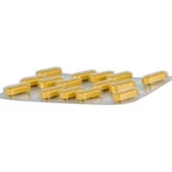 TEBONIN konzent 240 mg Filmtabletten 30 St