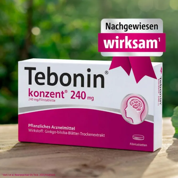 TEBONIN konzent 240 mg Filmtabletten 30 St