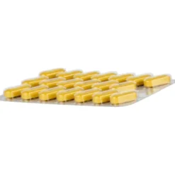 TEBONIN konzent 240 mg Filmtabletten 60 St