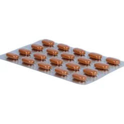 TEBONIN konzent 240 mg Filmtabletten 60 St