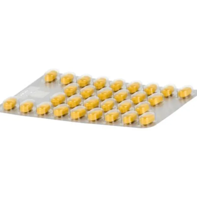 TEBONIN spezial 80 mg Filmtabletten 120 St